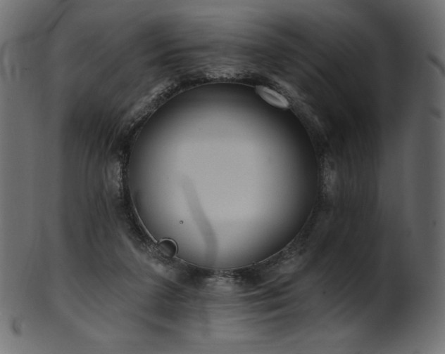 X0000102020211200807181334