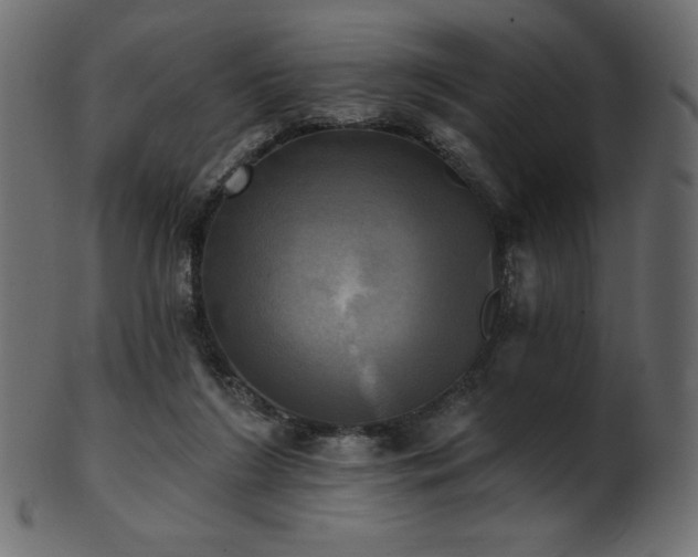 X0000102020212200807181334