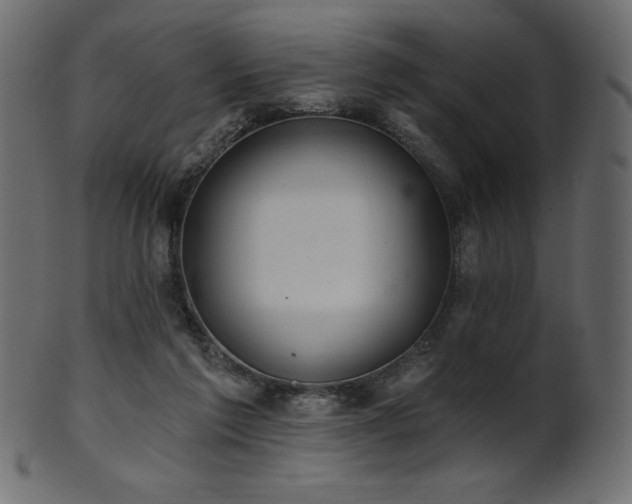 X0000102020213200807181334