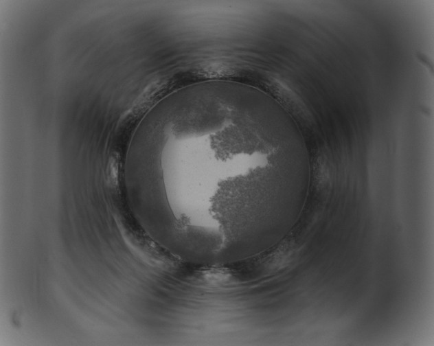 X0000102020214200807181334