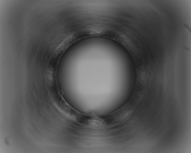 X0000102020215200807181334