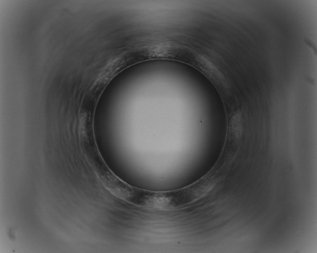 X0000102020217200807181334