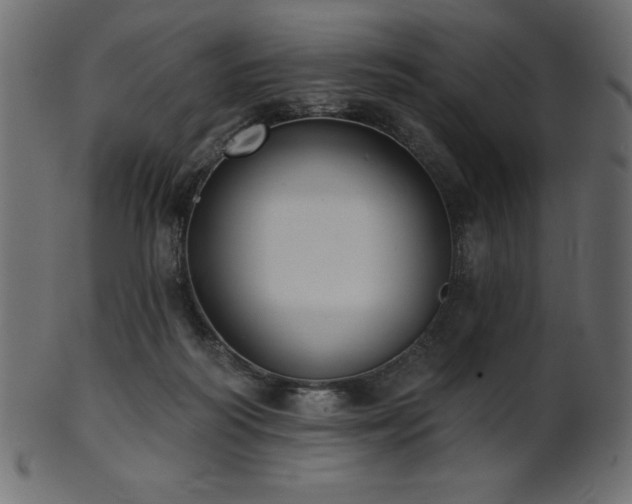 X0000102020218200807181334