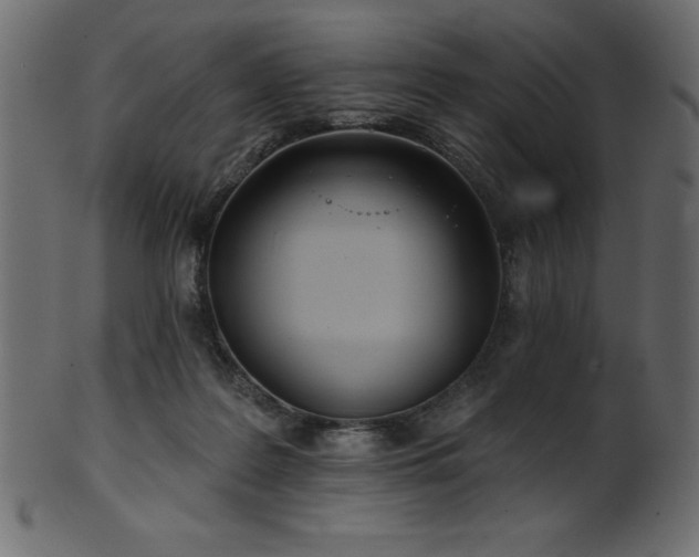 X0000102020219200807181334