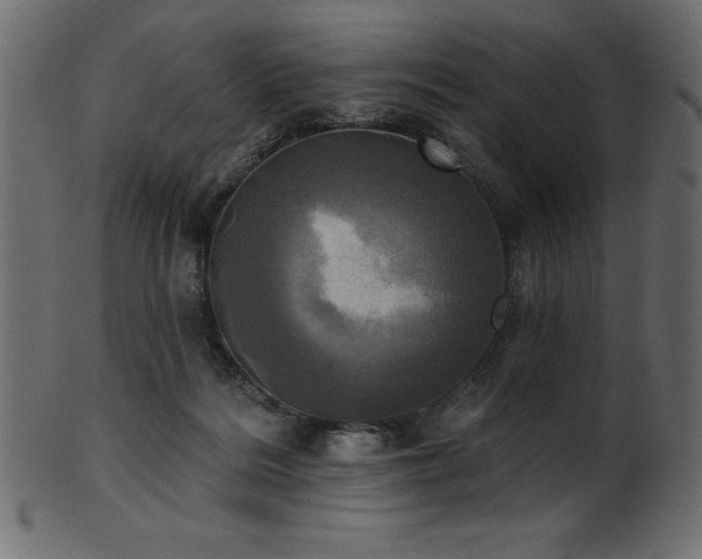 X0000102020220200807181334