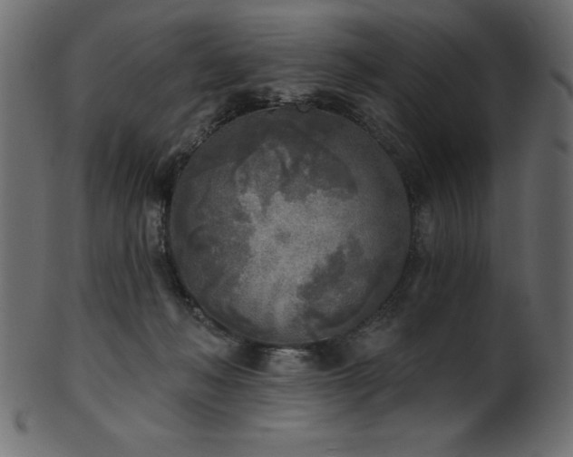 X0000102020222200807181334
