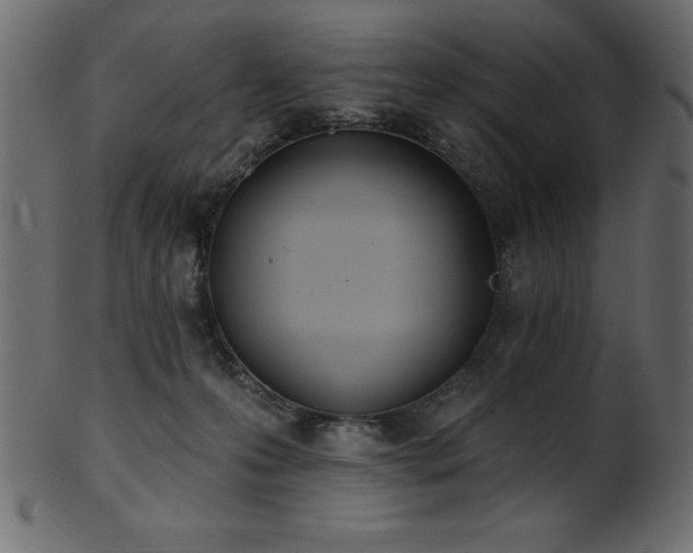 X0000102020223200807181334