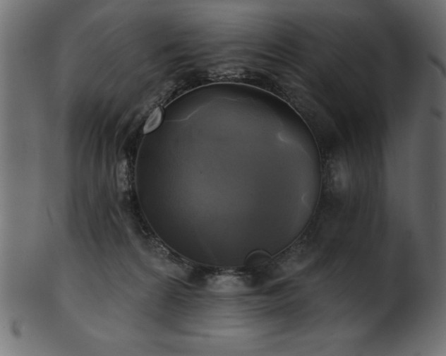 X0000102020224200807181334