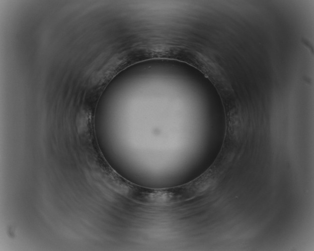 X0000102020225200807181334