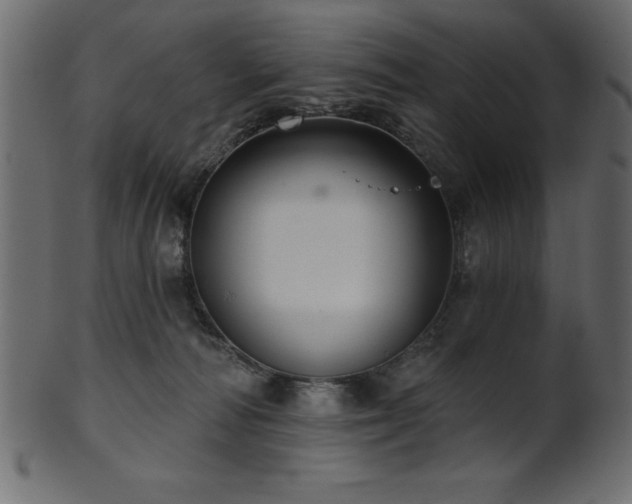 X0000102020226200807181334