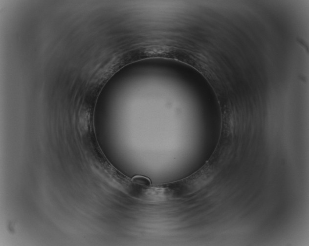 X0000102020227200807181334