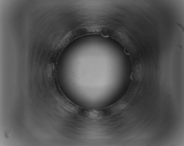 X0000102020229200807181334