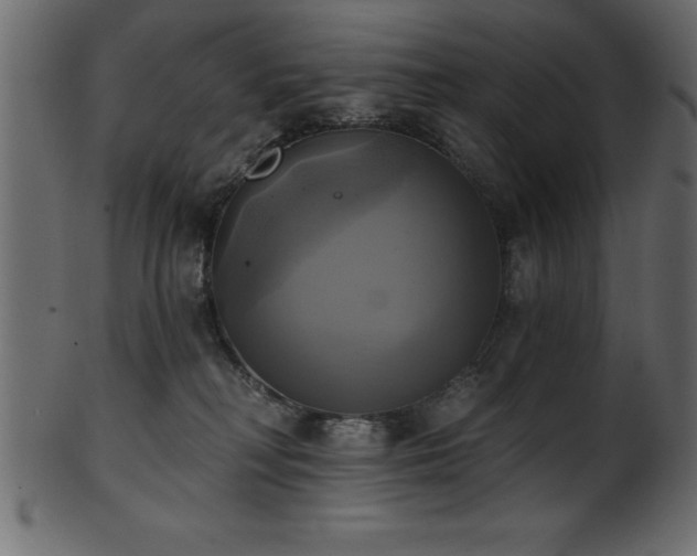 X0000102020230200807181334