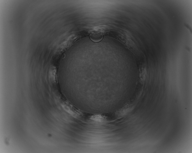 X0000102020231200807181334