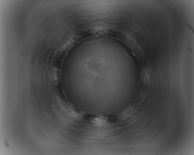 X0000102020232200807181333