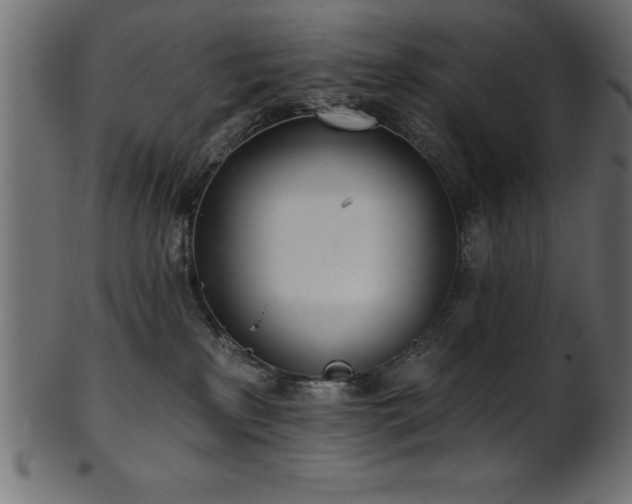 X0000102020233200807181333