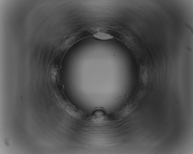 X0000102020235200807181333