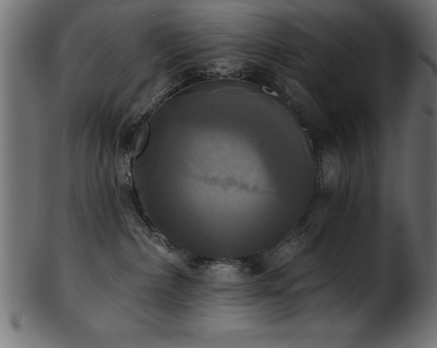 X0000102020236200807181333
