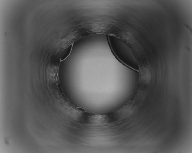 X0000102020237200807181333