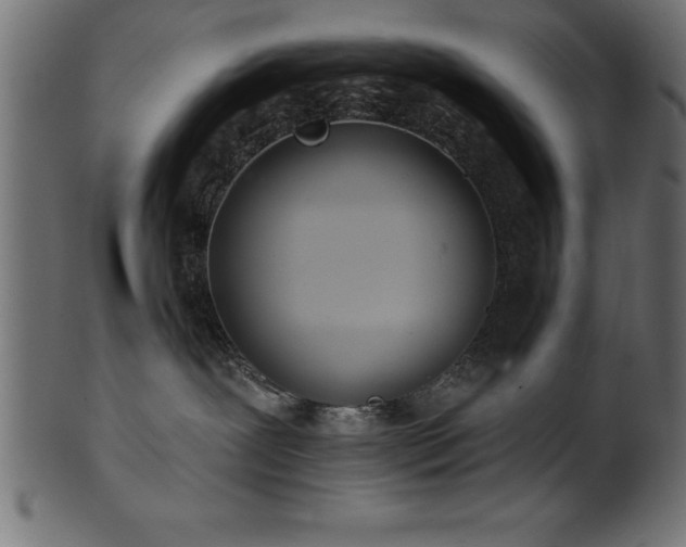 X0000102020239200807181333