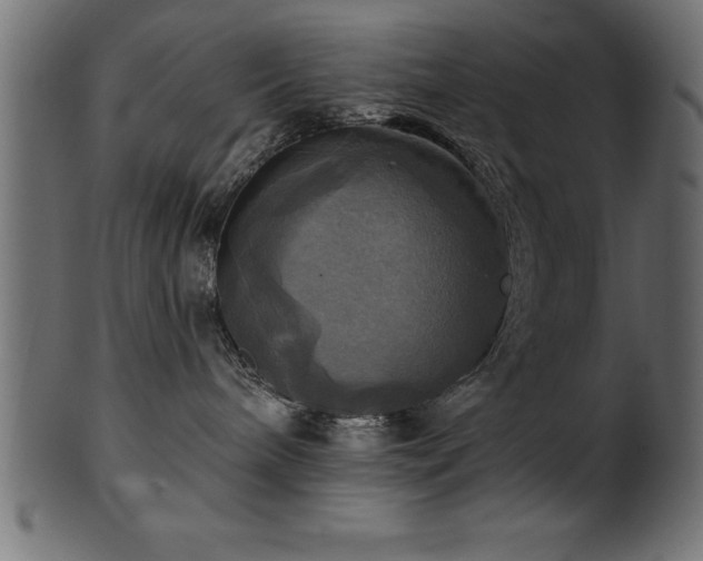 X0000102020240200807181333