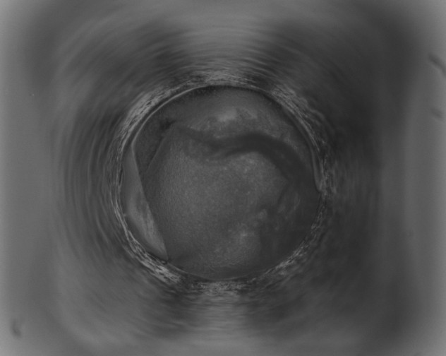 X0000102020241200807181333