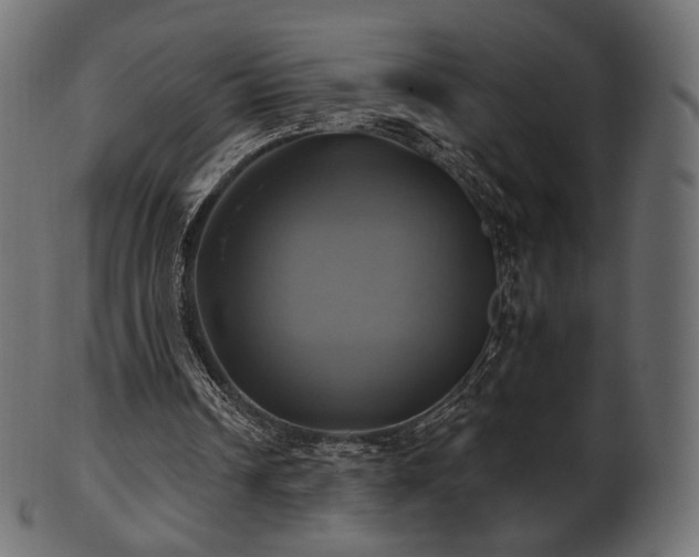 X0000102020242200807181333