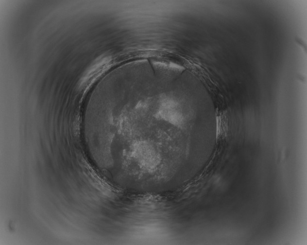X0000102020243200807181333