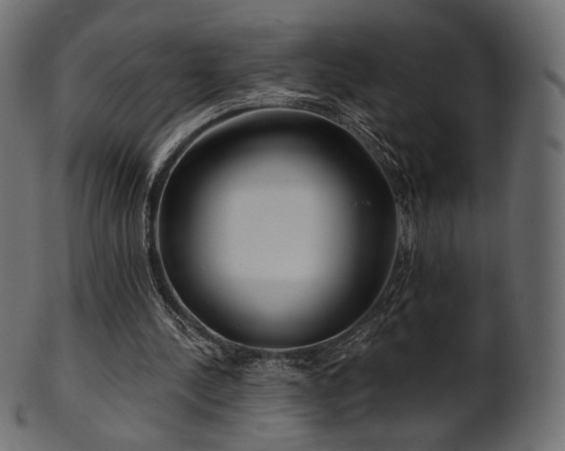 X0000102020244200807181333