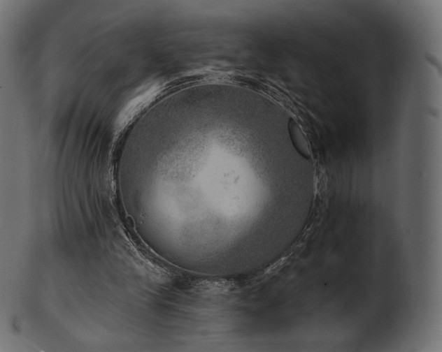 X0000102020245200807181333