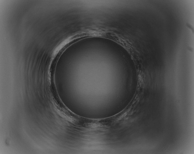 X0000102020246200807181333