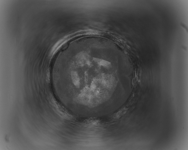 X0000102020247200807181333