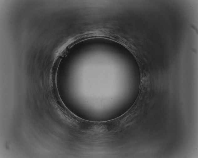 X0000102020248200807181333