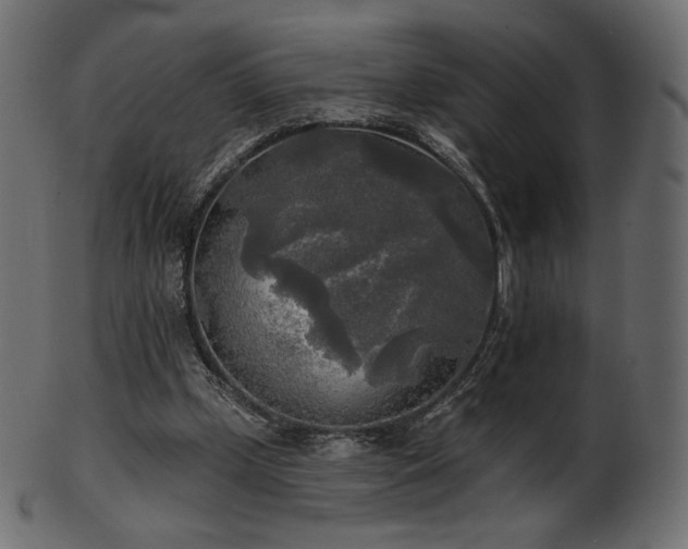 X0000102020249200807181333