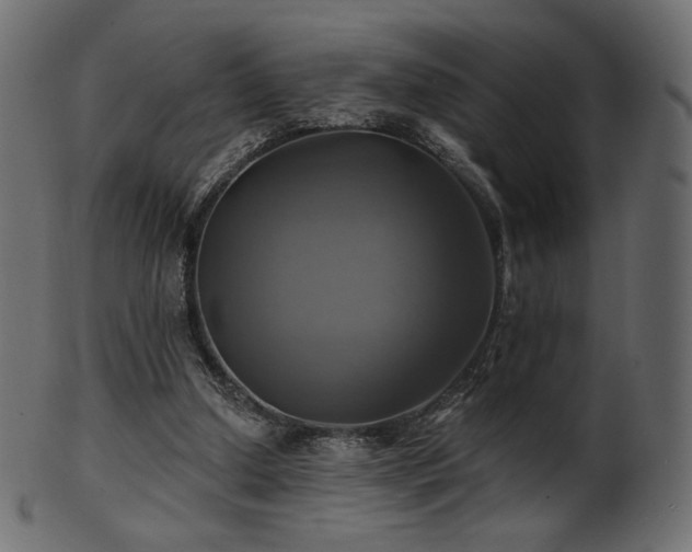 X0000102020250200807181333