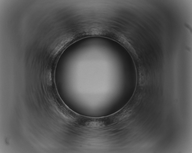 X0000102020251200807181333