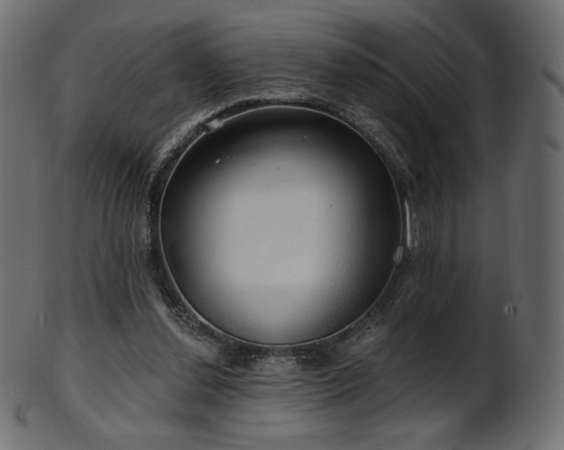 X0000102020252200807181333