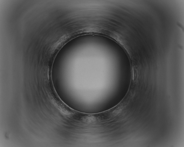 X0000102020253200807181333