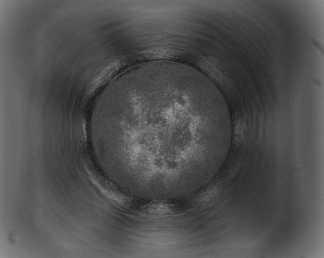X0000102020254200807181333