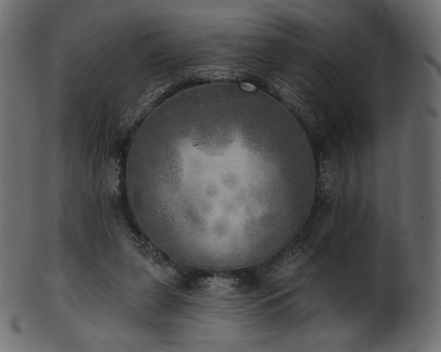 X0000102020255200807181333
