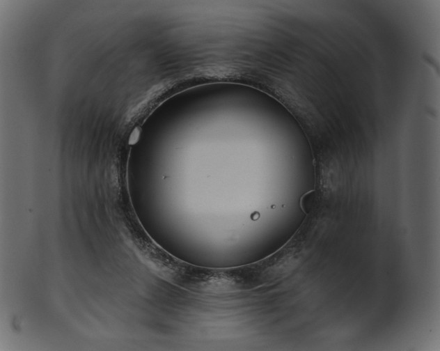 X0000102020256200807181333