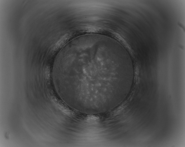 X0000102020257200807181333
