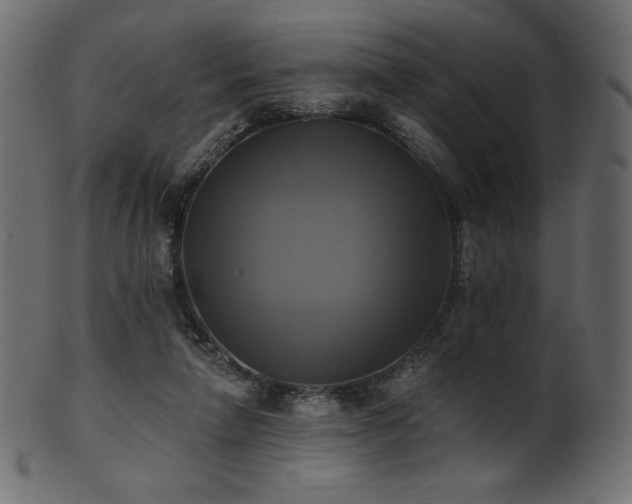 X0000102020258200807181333