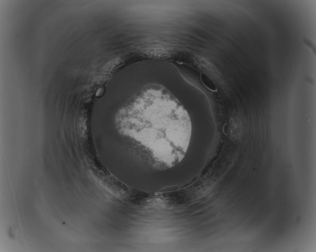 X0000102020259200807181333