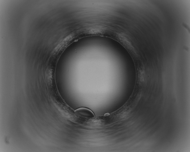 X0000102020260200807181333