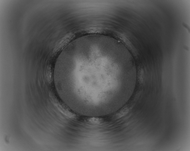 X0000102020261200807181333