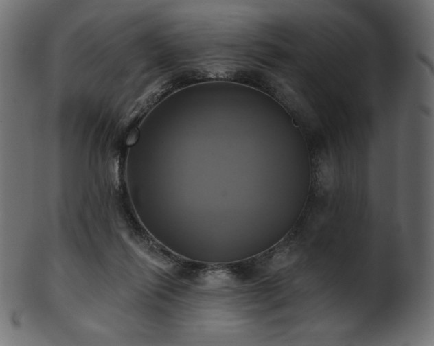X0000102020262200807181333