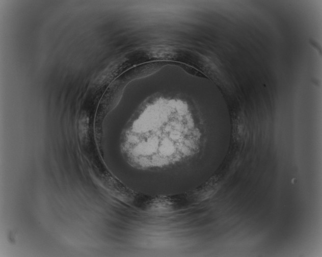 X0000102020263200807181333