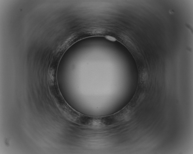 X0000102020264200807181333