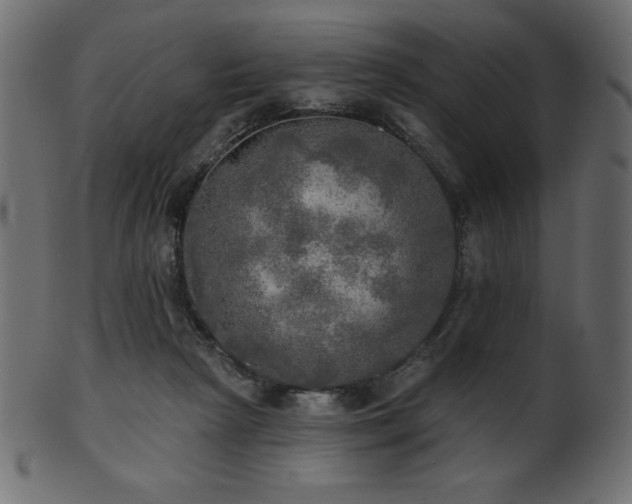 X0000102020265200807181333